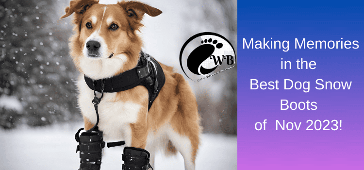 The Best Dog Snow Boots: Unleashing Comfort and Style for Your Furry Friend