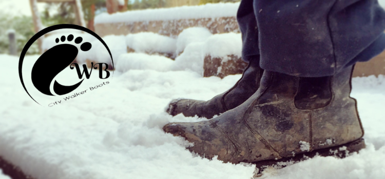 Bogs Arcata Urban Chelsea Snow Boots – Men’S